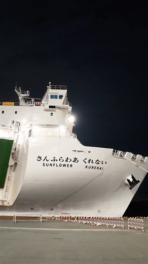 大阪→別府のさんふらわあ。荷物を積んで、そのまま海へ。車で乗り込むフェリー旅