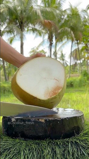 This Young Coconut Tastes More Sour Than Sweet
