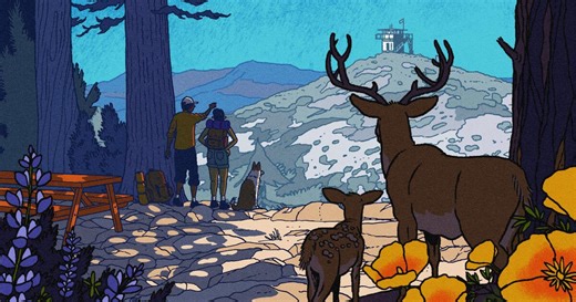 Coldbrook Campground