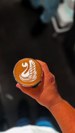 Back to basic 🤘 I fell comfortable in basic 😂 #swan in 4oz cup #lovesong #fyp #fypシ #foryou #foryoupage #tiktok #goviral #trending #unfreezemyacount #keeppouring #barista #baristalife #coffee @TikTok