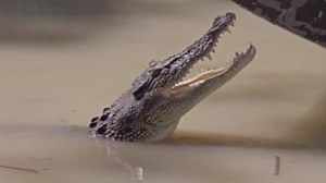 Samantha Brown's Places to Love returns to KPBS on Thursday, January 4 with a brand new season! Catch up on past seasons now streaming on the PBS App. | KPBS | Facebook