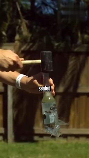 The Physics Behind the Barehand Trick