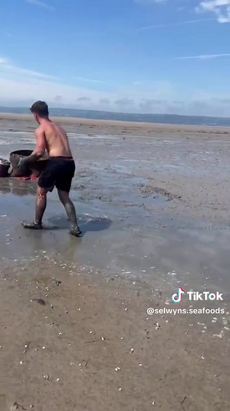 Exploring Cockles with Ev Selwyn: A Seafood Adventure