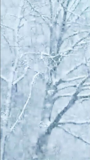 Snowstorm Blizzard Ambience ❄️ 30 Min Pomodoro Study Timer with Howling Wind
