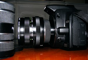 Macro Extension Tubes On 28mm F2.8 Pentacon, On Canon 350d Rebel XT