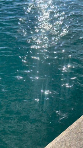 10K views · 116 reactions | In Japan, the Akashi Kaikyo Bridge, also...