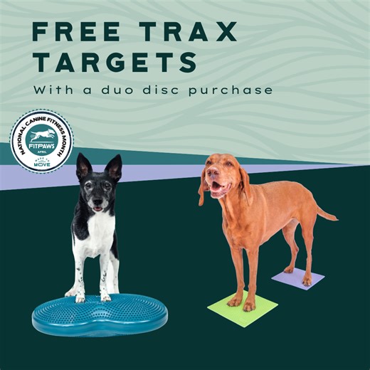Duo Disc & Trax Target Bundle
