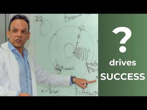 Why Stem Cell Therapy Works for Some… But Fails for Others