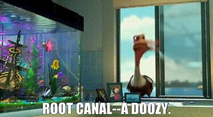 Root canal--a doozy.