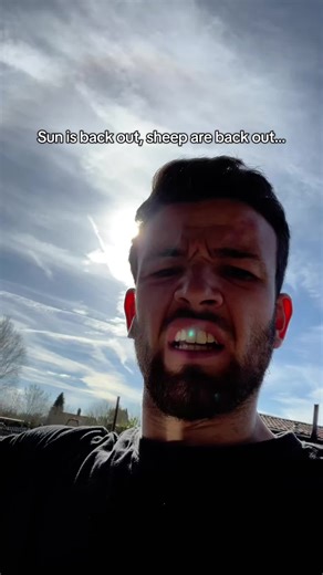 Enjoying Sheep Farming Under the Sun