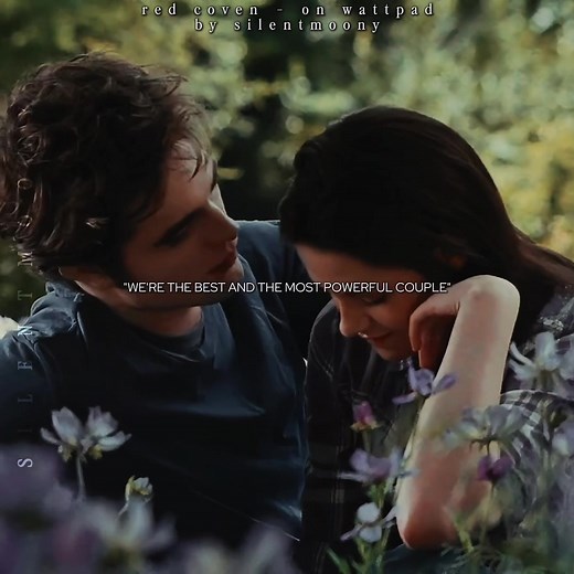 Exploring the Power Dynamics in Twilight Fanfiction