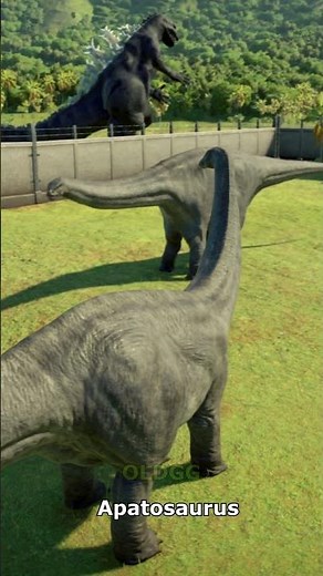 Brontosaurus VS Apatosaurus
