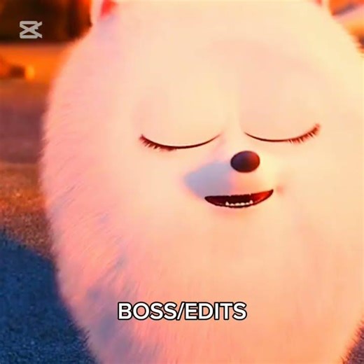 THE BEST DUOS IN THE SECRET LIFE OF PETS