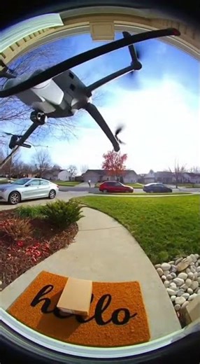 a German Shepherd mix #petshub #puppy #animals