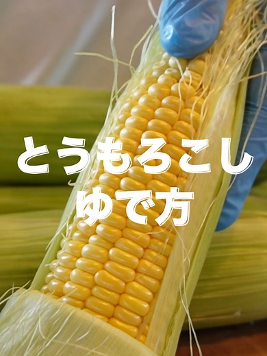とうもろこしの完璧な茹で方
