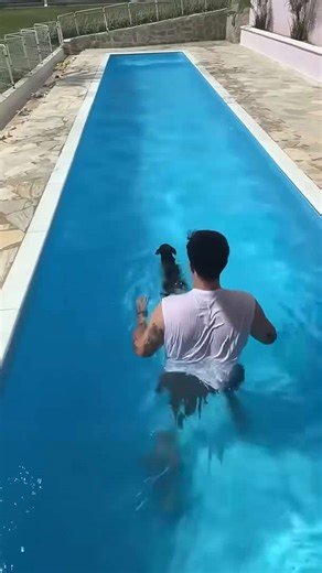 BICA CAINDO NA PISCINA