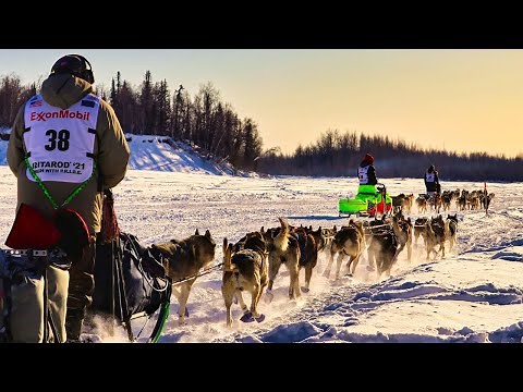 Cabin Trip Fail + 2021 Iditarod | Highs & Lows Living in Alaska