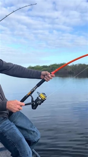 Catch the fever — hellcat revenge rods are leading in powerful, proformace and durability 🔥🔥🔥 #catchthefever #fishtok #hellcatrods #proformance #durability