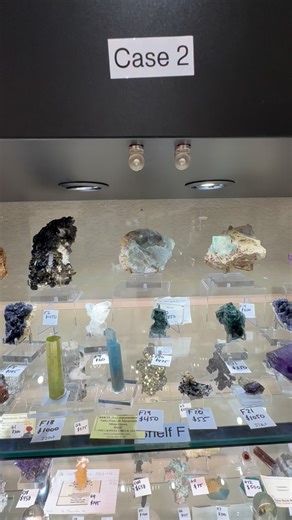 Quality Gems For A Great Price on Instagram: "Case 2 Preview!! Take a look at all the amazing Minerals and Gemstones for this LIVE AT 5! The live will take place here on Instagram and will start at 5pm Pacific on Friday 12/19! This live will be our LAST LIVE show for the year… I will be debuting a lot of great items from recent trips around the world!! Claims start at 5pm… if you want to see any of these pieces up close please ask to see them BEFORE the live… I will be able to take much better v