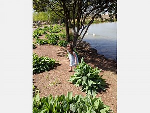 Railroad Park Adjusts Rules Amid Coronavirus Pandemic