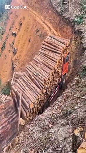 high-stakes, highly skilled logging operation in a steep, mountainous region#shortsfeed