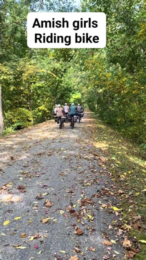 Fall is the perfect time to walk or ride along the trail in Holmes County Ohio #amishtiktok #ohioamish #visitamishcountry #trails #railstotrails | Amish Life Stories