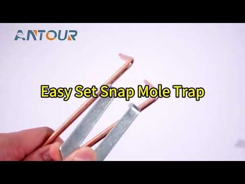 How to use Copper Mole Wire Traps
