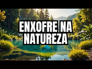 SULFUR CYCLE: How does this vital element circulate in nature? 🌍⚡