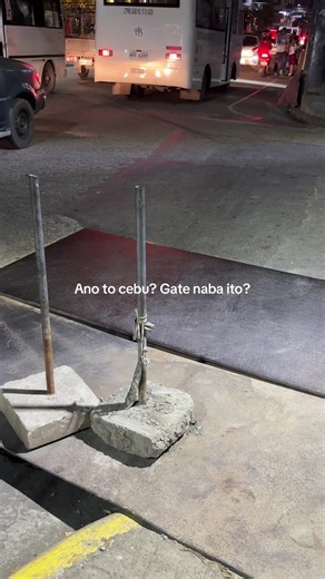 Cebu: A Glimpse into the Upside Down Movie Experience