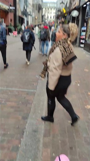 Yorkie Lucy Explorers Embankment Place London