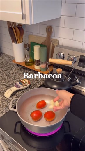 Kimberly Stephanie on Instagram: "Recipe ⬇️🇲🇽 Beef chuck roast 3 tomatoes Garlic cloves Chile Ancho 2(seeded) Chile Guajillos 12(seeded) 1 onion Cumin Oregano Salt/Pepper Garlic powder Adobo 1/4 cup vinegar Bay leaf Chopped onions Chopped cilantro Boil the chilies, tomatoes, and garlic. Blend the chilies, seasoning, onion, and 1 cup of water from the boiling chilies. Season the meat with salt and pepper and brown it. Add the browned meat to the crockpot along with the blended liquid. Add vineg