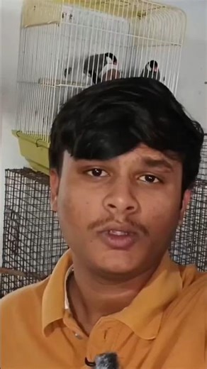 FINISH KO DEKHO KYA HUA 🥺 #birds #dailyvlog #parrot #viral #pets #finches