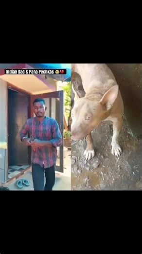 papa vs pana pechkas 😂💔 #funny #comedy #gugugaga #try