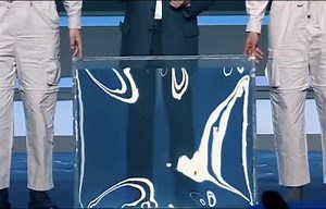 China's Cutting-Edge Military Invisibility Cloak Revealed