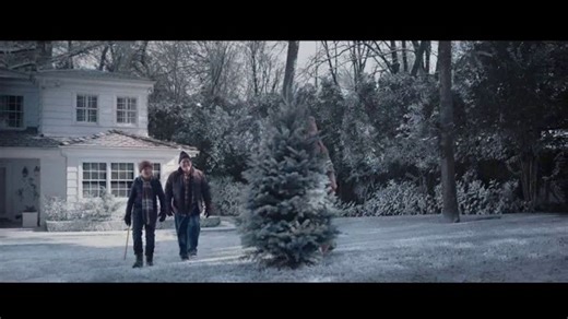 Meijer TV Spot, 'Christmas Tree'