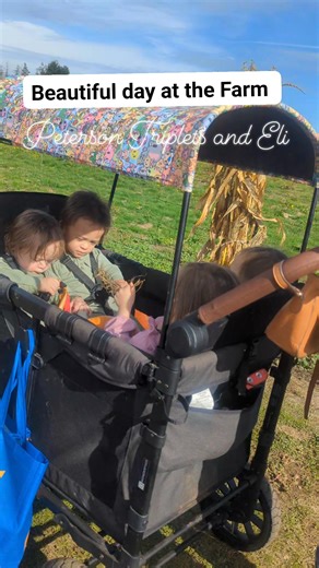 Oct 19 2025 #petersontriplets Vancouver Pumpkin Patch #lifestyle #pumpkinpatch #fbreelsfypシ゚viralfbreelsfypシ゚viral 🩷🩷💙💙💙 | Emily Jensen