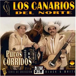 Los canarios del norte los dos compadres | Canciones Rejionales viejitas norteñas