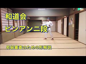 和道会 ピンアンニ段 昇級審査のための形解説