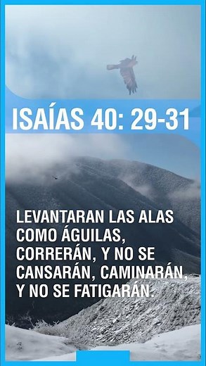 Isaías 40: 29 - 31 │ 📖 Versículos de ánimo │ Biblia