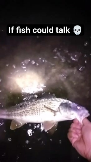 baby redfish #fishing #fishingvideo #outdoors #fishinglife #fishingtips #sub #subscribe #funny