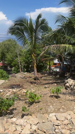 5.9K views · 283 reactions | New Beach House ng Ate Charing Bahay Bukid | Inday ngabil | Facebook