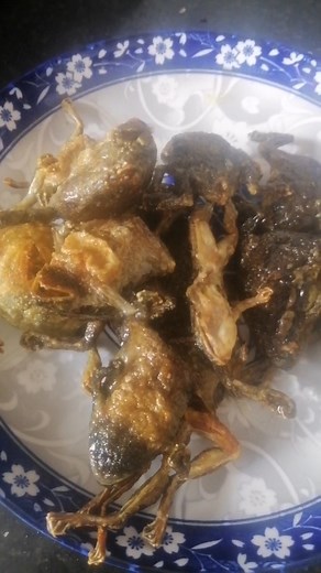 Amazing Food on Reels