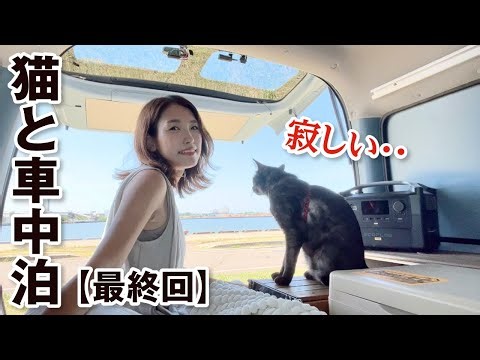 【最終回】今までありがとうございました。／軽バン女子車中泊・猫と東北一周旅第４話（宮城仙台七夕まつり・福島編）