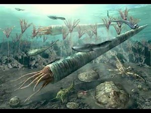 Cameroceras: El Gigante del Ordovícico