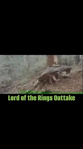 2M views · 4.1K reactions | Lord Of The Rings Outtake藍 #lotr #Lordoftherings #hobbit #Tolkien #Outtake #Blooper #Funny | Your Middle-Earth Home | Facebook