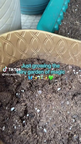 Coming soon... 🎍🌹🌻🌷💐 #HappyHealing #MakeAwish #Fairy #FairyLife #Magic #FlowerPower #Cosmos #WildFlower #FairyGarden #ForgetMeNots #Kindness #Love #Light #Attraction #WitchShit #FlowerPower #Happiness #Follow #1Love #FYP