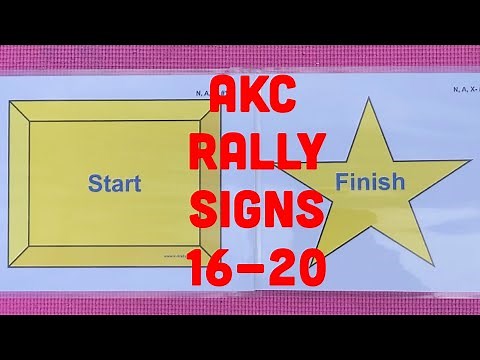 AKC Rally Novice Signs 16-20 Explained and Demoed