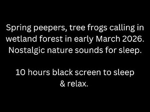 Spring peepers tree frogs calling in wetland forest 10 hour tree frog sounds black screen to sleep