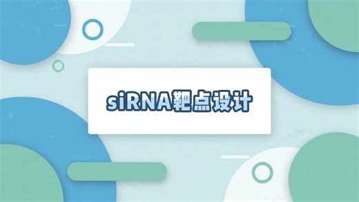 siRNA靶点设计全流程｜从 NCBI 找序列到 DSIR 实操