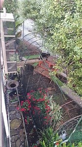 DIY catio